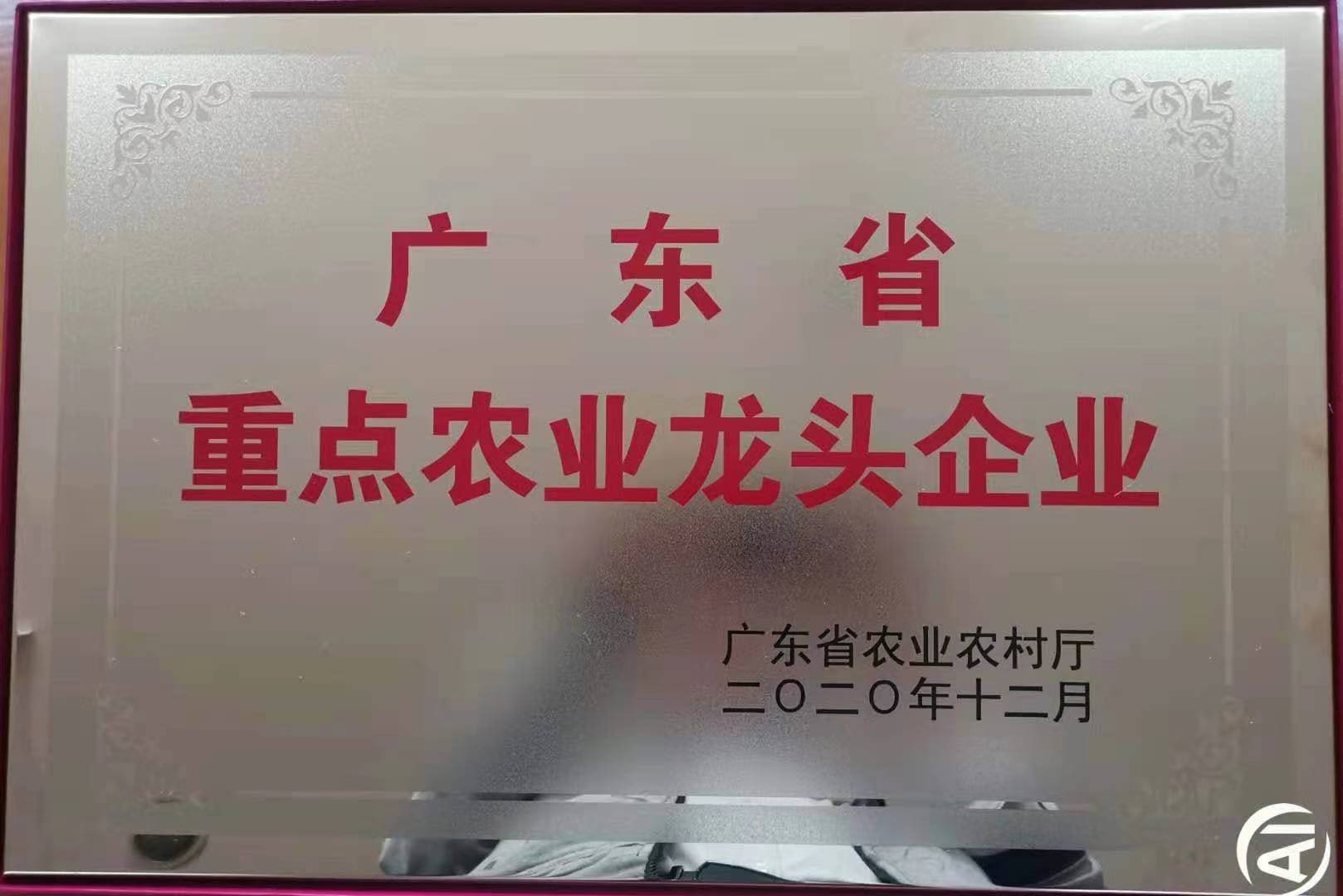 三码必中一码一公开